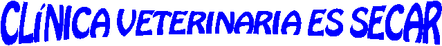 CLNICA   VETERINARIA   ES   SECAR 